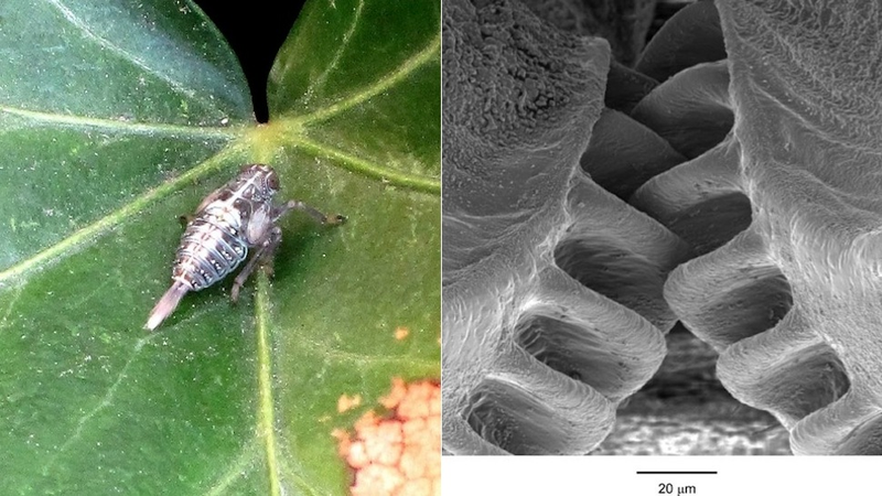Illustration for article titled Las fotos y noticias de ciencia más fascinantes de 2013